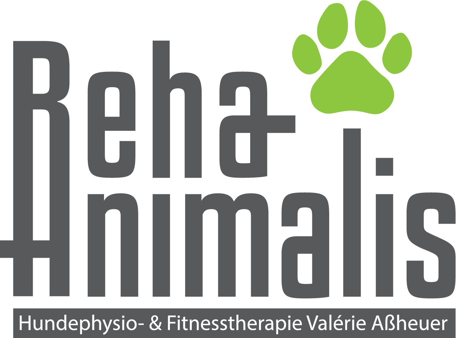 RehaAnimalis - Hundephysio- & Fitnesstherapie Valérie Aßheuer